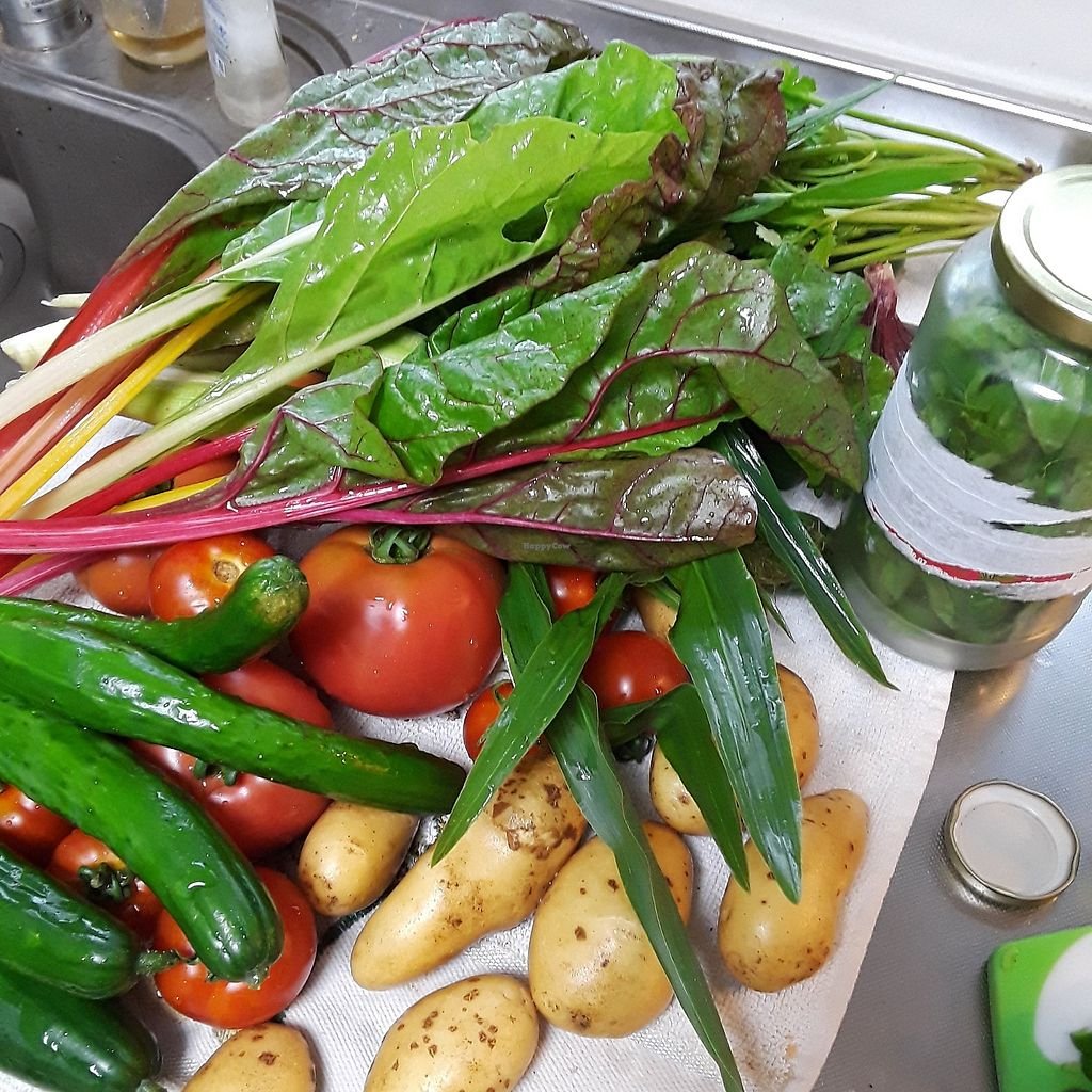 🍓 쓰쿠이하마 관광농원(쓰쿠이하마 칸코노엔) 이미지 5